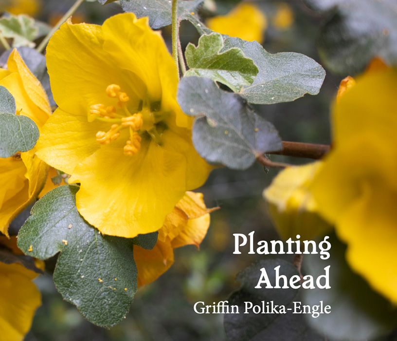 Book by Griffin Polka-Engle